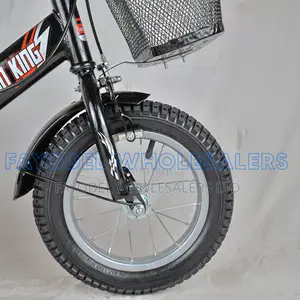 Premier Lion 12-Inch Bike – Basket Included