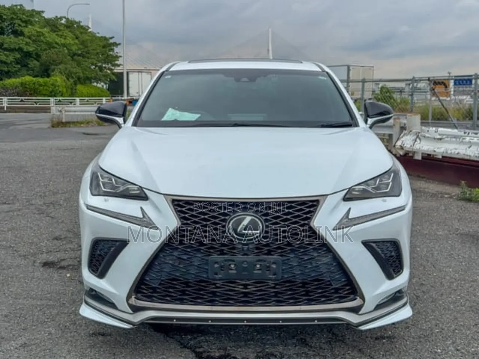 Lexus NX 300 FWD 2019 Pearl