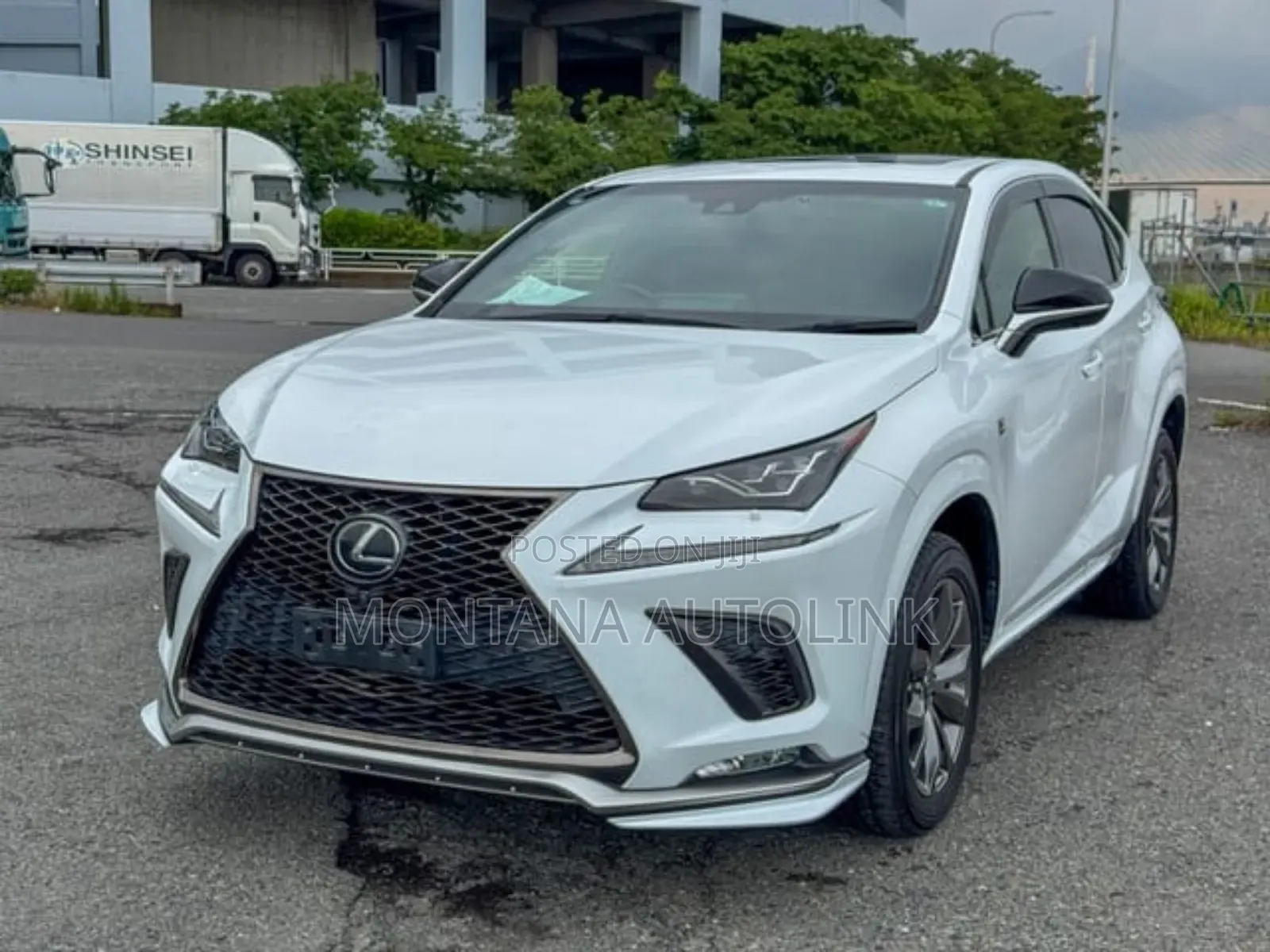 Lexus NX 300 FWD 2019 Pearl
