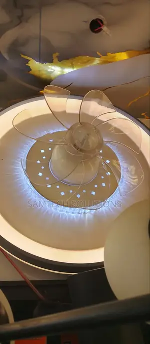 Ceiling Light With Fan