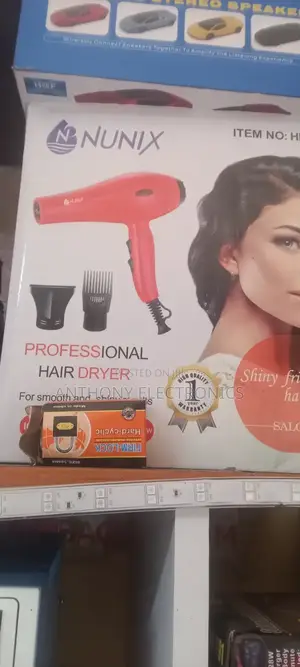Professional Hair Dryer