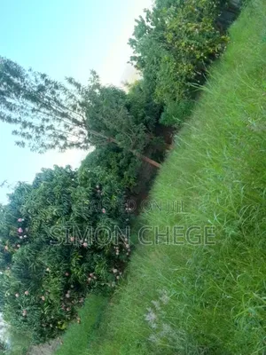 Prime Land for Sale at Kenol.