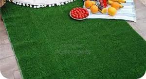 Artificial 20mm Grass Carpet for Home and Commercial Use