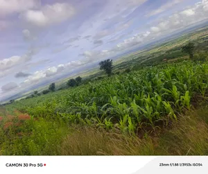 6 Acres at Mua Hills Best for Homestead