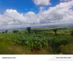 6 Acres at Mua Hills Best for Homestead