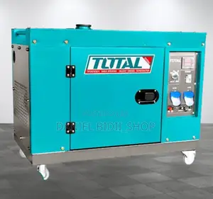 Total Diesel Silent Generator Tp265001