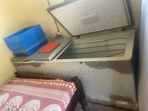 500+ Liters Freezer