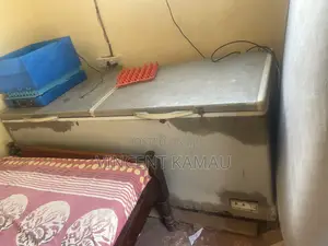 500+ Liters Freezer