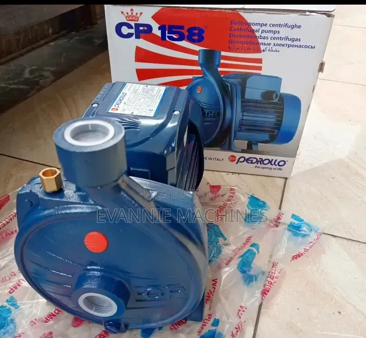 Pedrollo Electric Water Pump 1hp