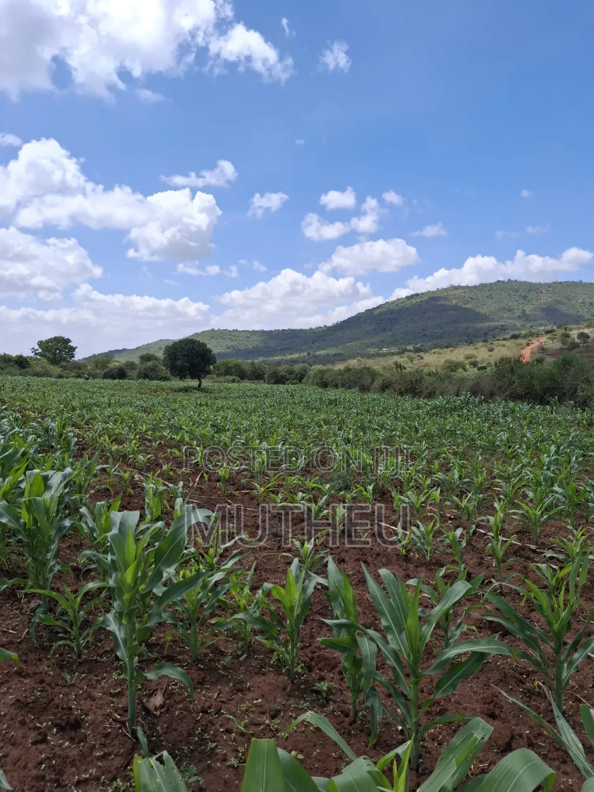Prime Land for Sale