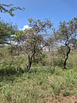 Prime Land for Sale