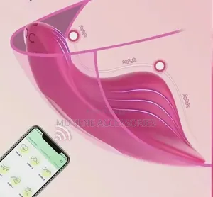App Control Wearable Underwear G Spot Panty Vibrator Vibrating Panties