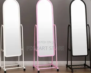 Full Length Dressing Mirror With Shoe Rack Wheels