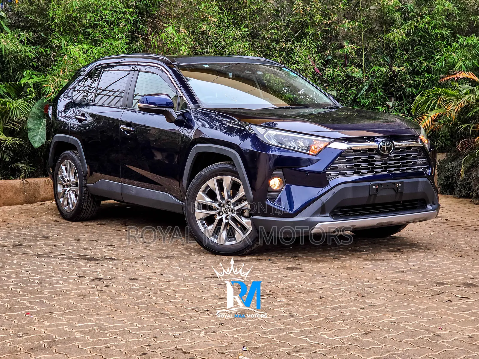 Toyota RAV4 2019 Blue