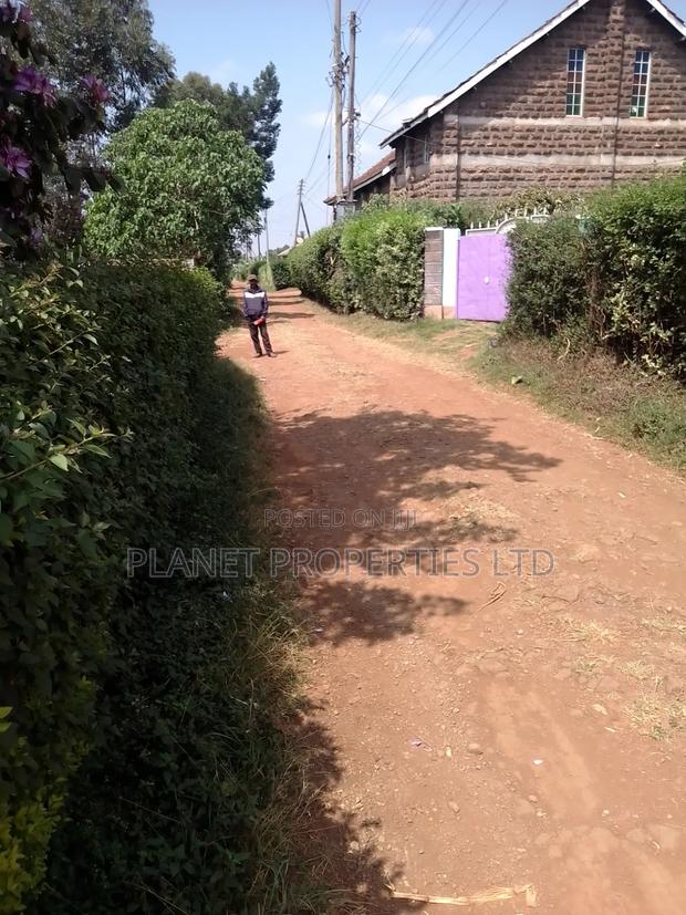 Prime Ruaka 3 Quarter Acre - thumbnail 2