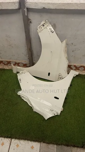 Mira Fender/Wing