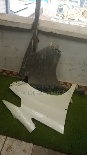 Alphard Fender/Wing