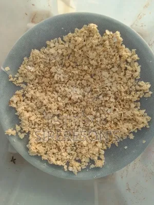 Black Soldier Fly Eggs