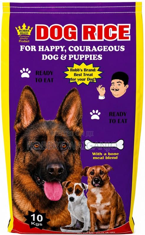 1+ year Male Mixed Breed German Shepherd