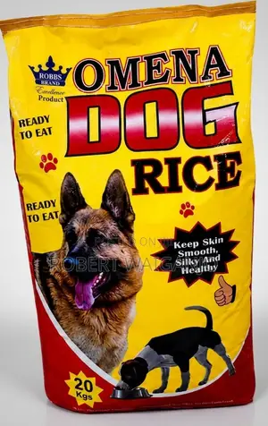 1+ Year Male Mixed Breed German Shepherd
