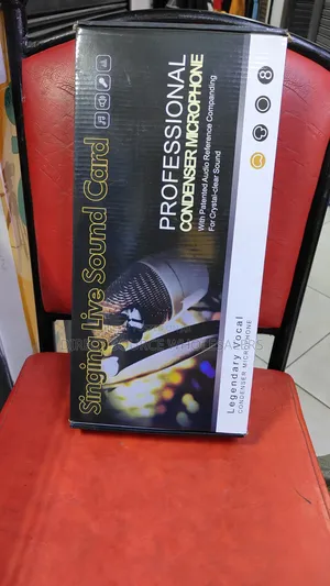 Professional Recording Kit – Bm800 Condenser Mic With V8sk Sound Card