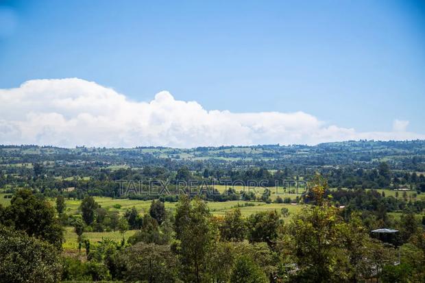 -acres-of Gold:River-front-agricultural Empire In Laikipia East