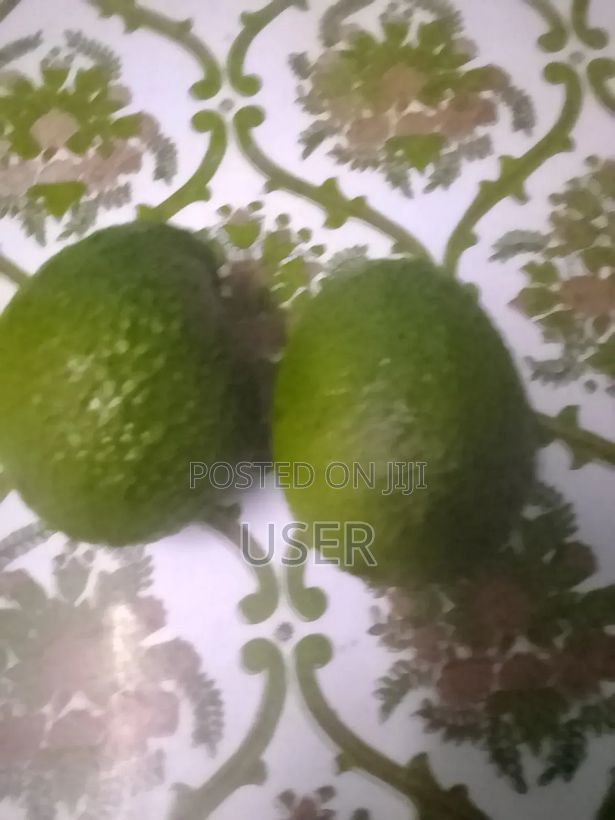 Hass Avocados