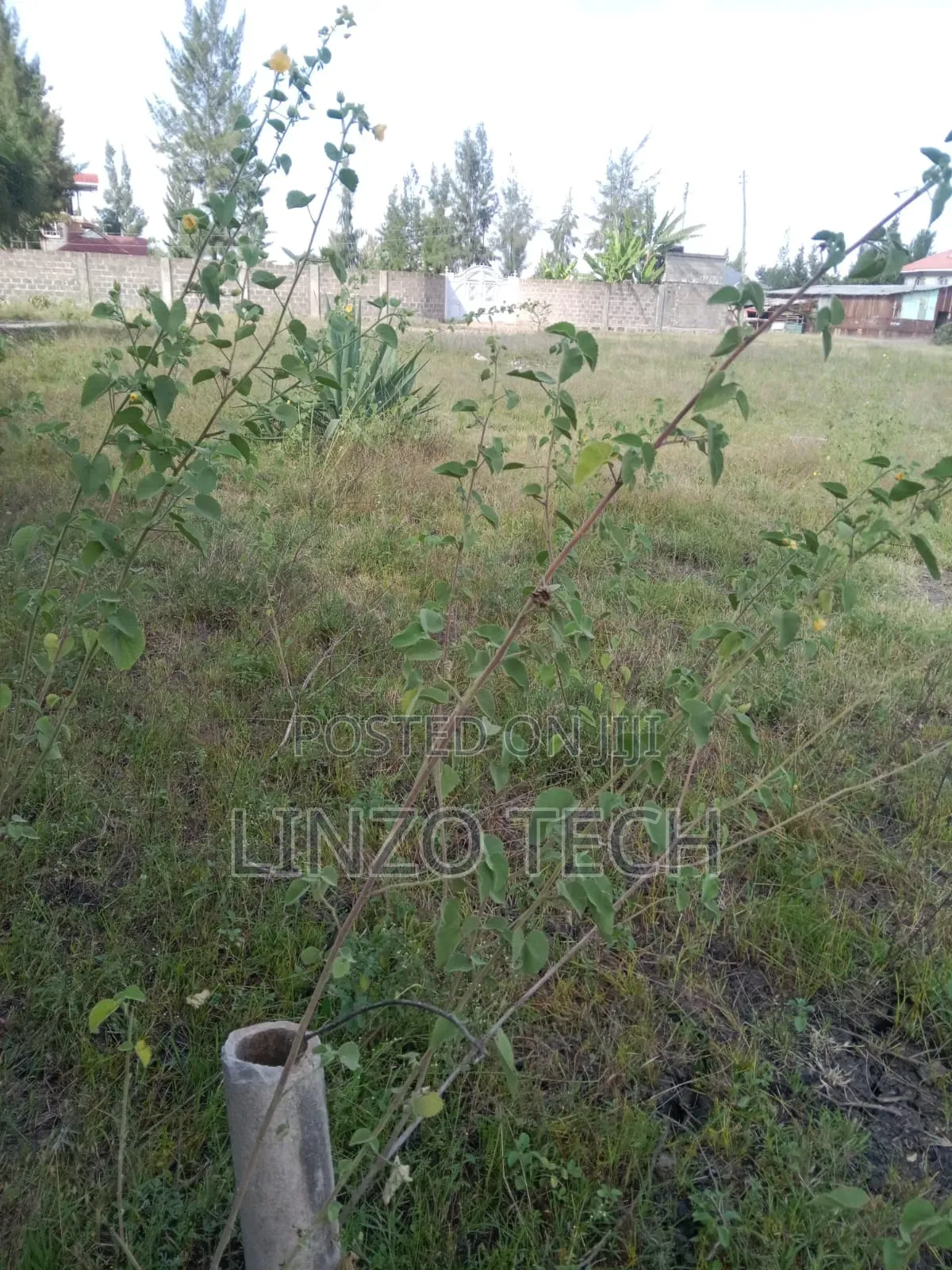 Plots for Sale