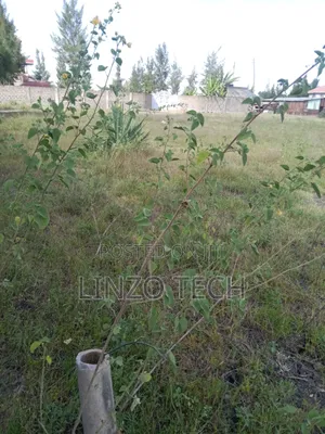 Plots for Sale