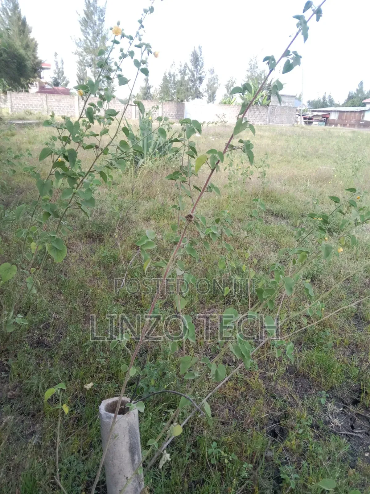 Plots for Sale