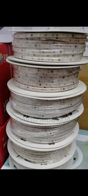 Led Snake Lights
