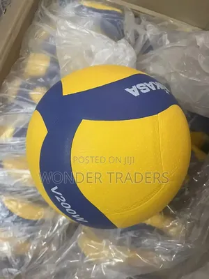 Mikasa V200w Volleyball
Original