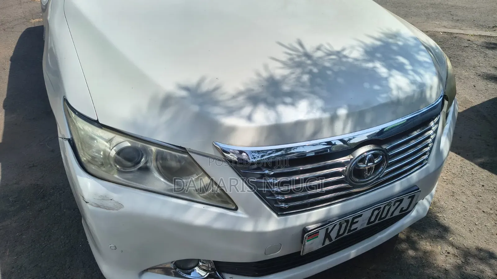 Camry Headlight Xenon