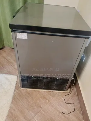 Chest Freezee