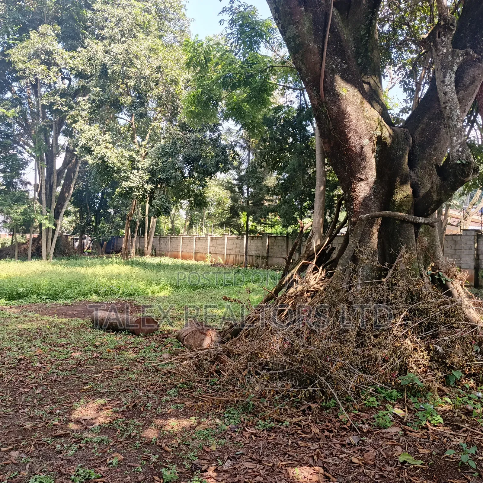Prime 1-Acre Forest-Bordering Plot in Thigiri – With Approvals