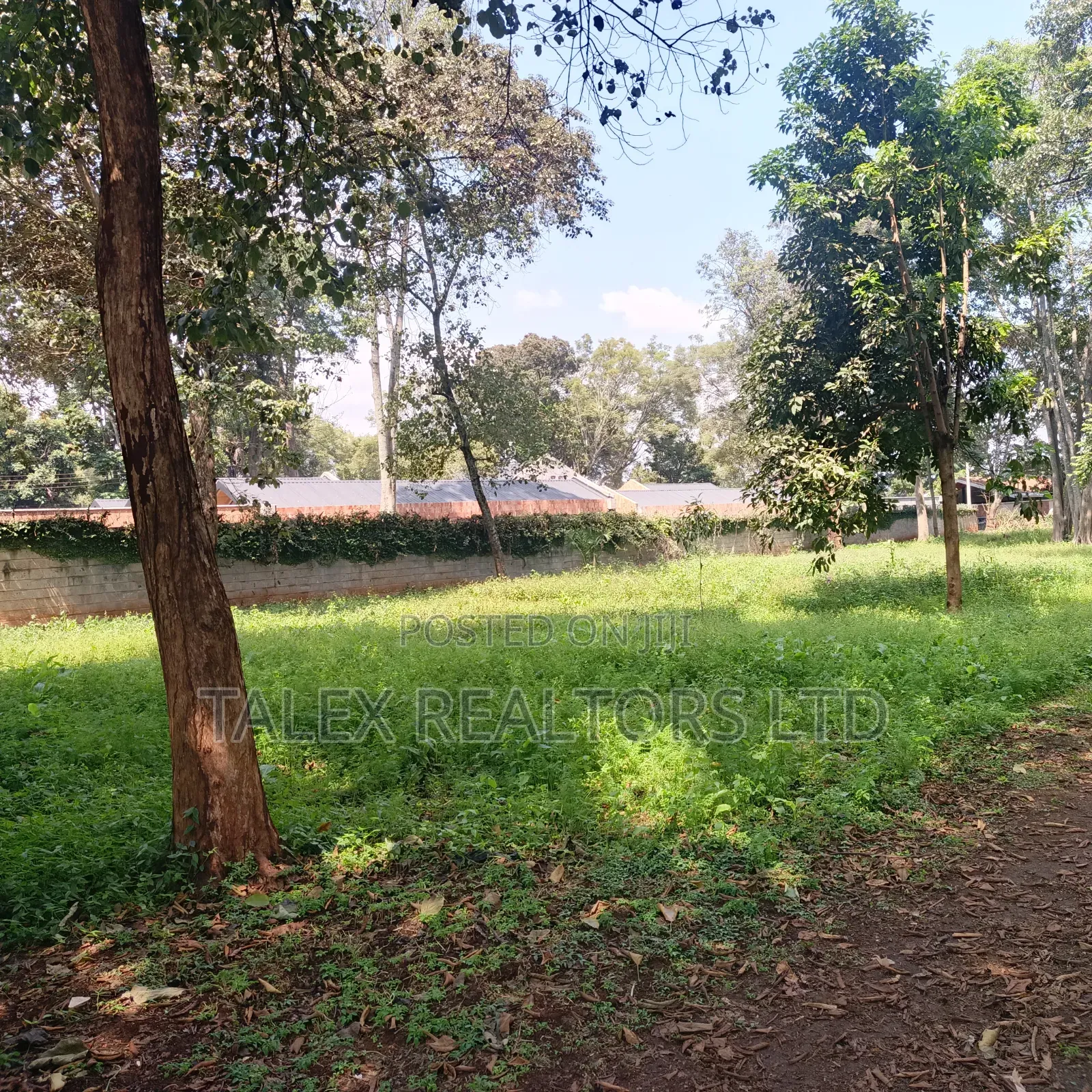 Prime 1-Acre Forest-Bordering Plot in Thigiri – With Approvals