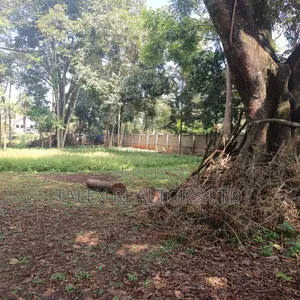 Prime 1-Acre Forest-Bordering Plot in Thigiri – With Approvals