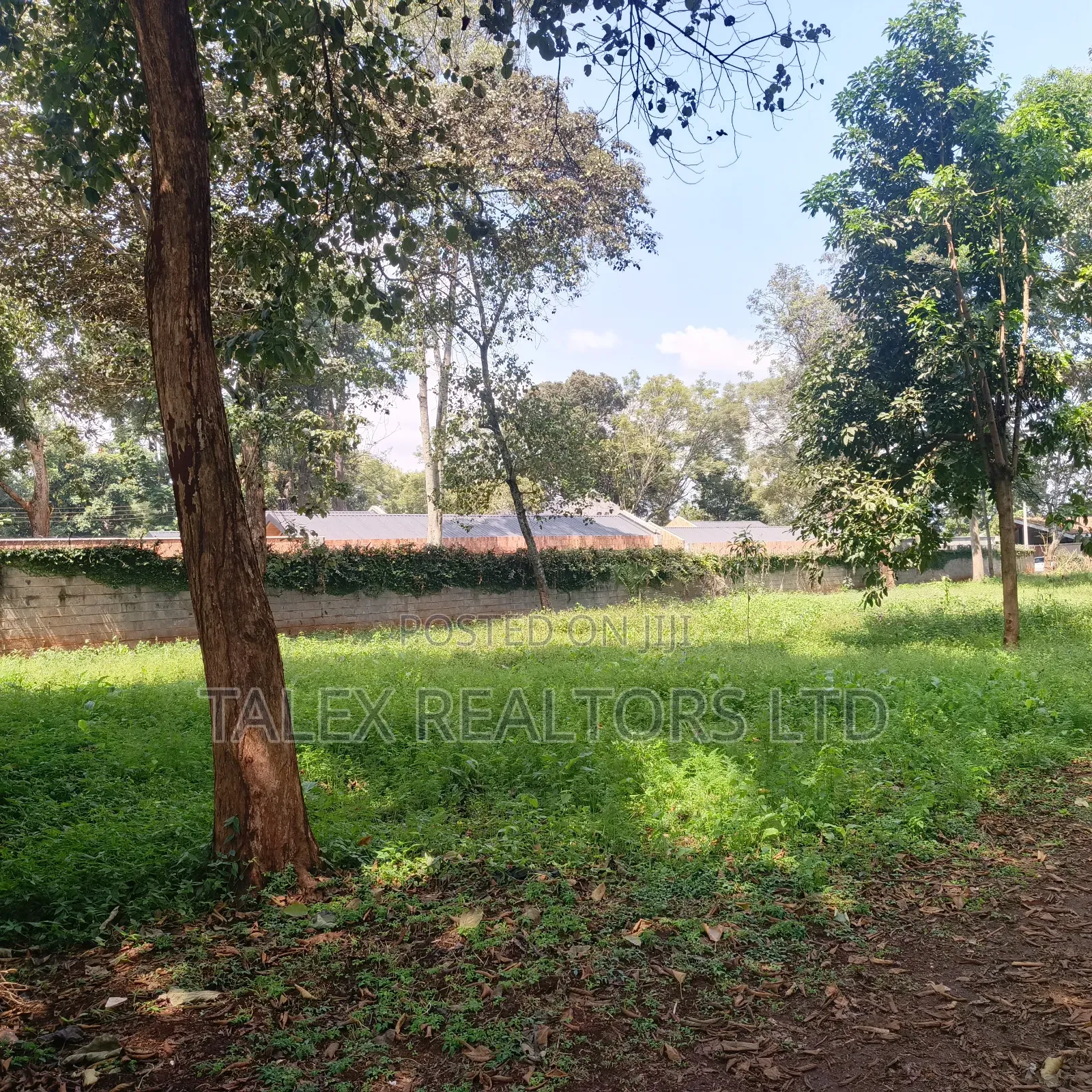 Prime 1-Acre Forest-Bordering Plot in Thigiri – With Approvals