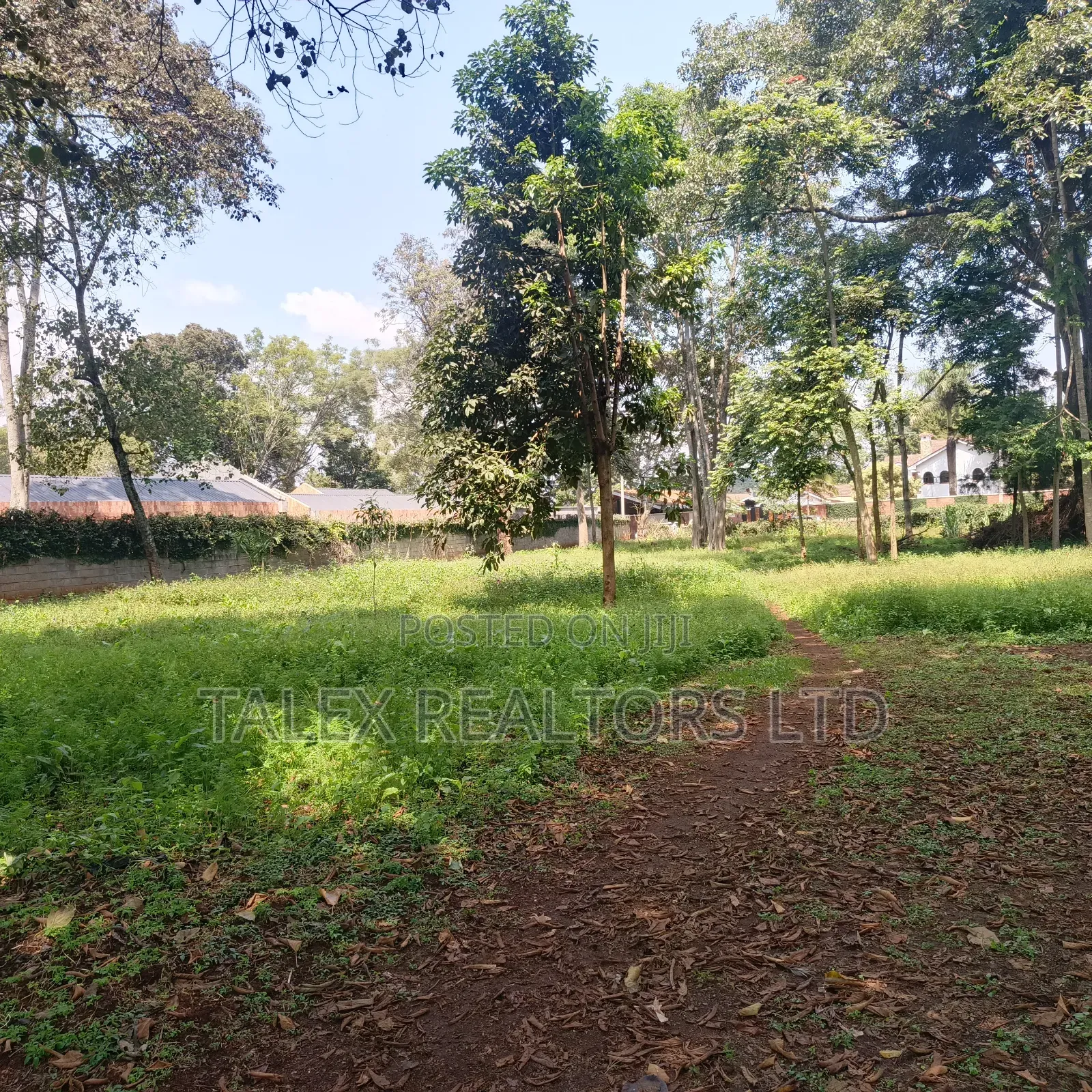 Prime 1-Acre Forest-Bordering Plot in Thigiri – With Approvals