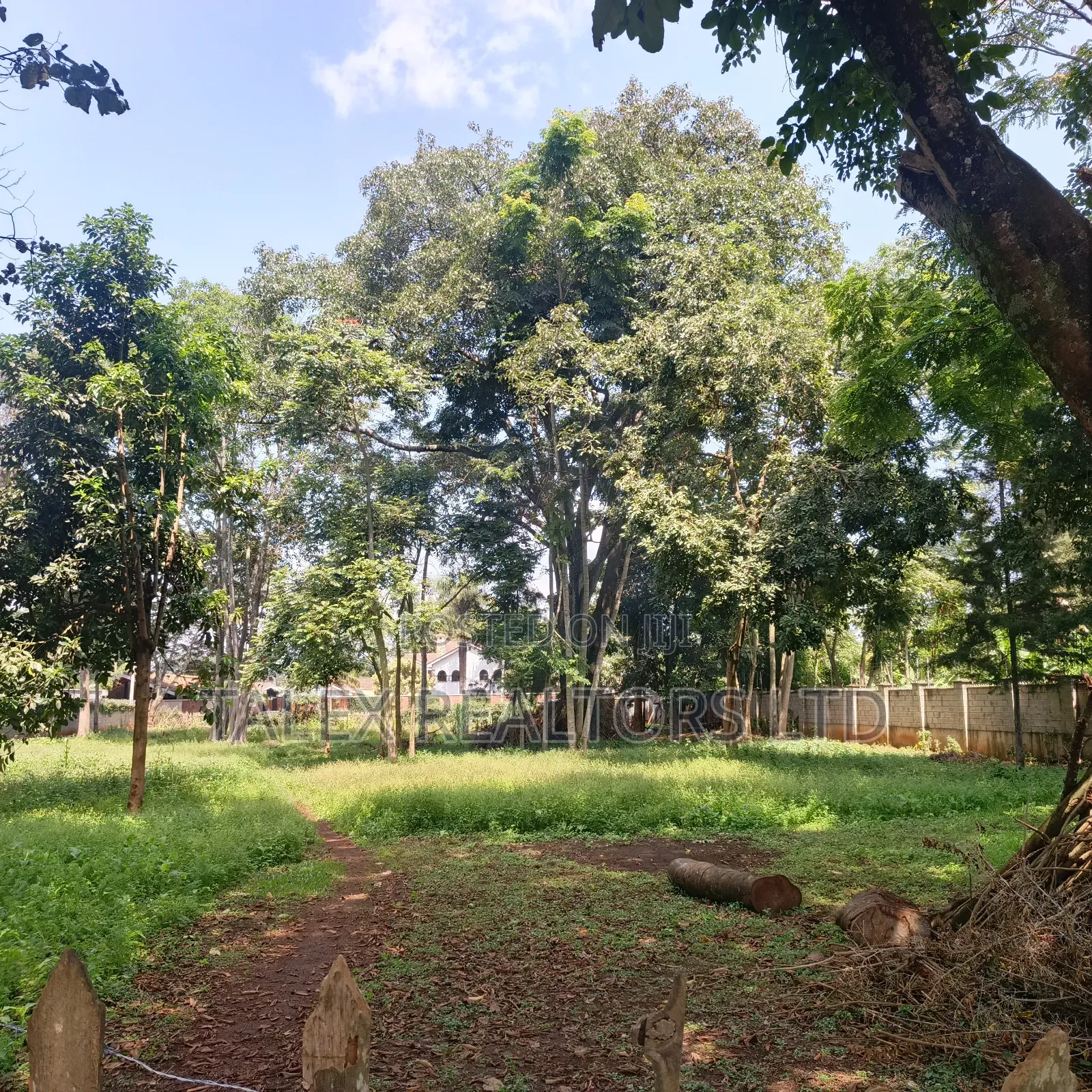 Prime 1-Acre Forest-Bordering Plot in Thigiri – With Approvals