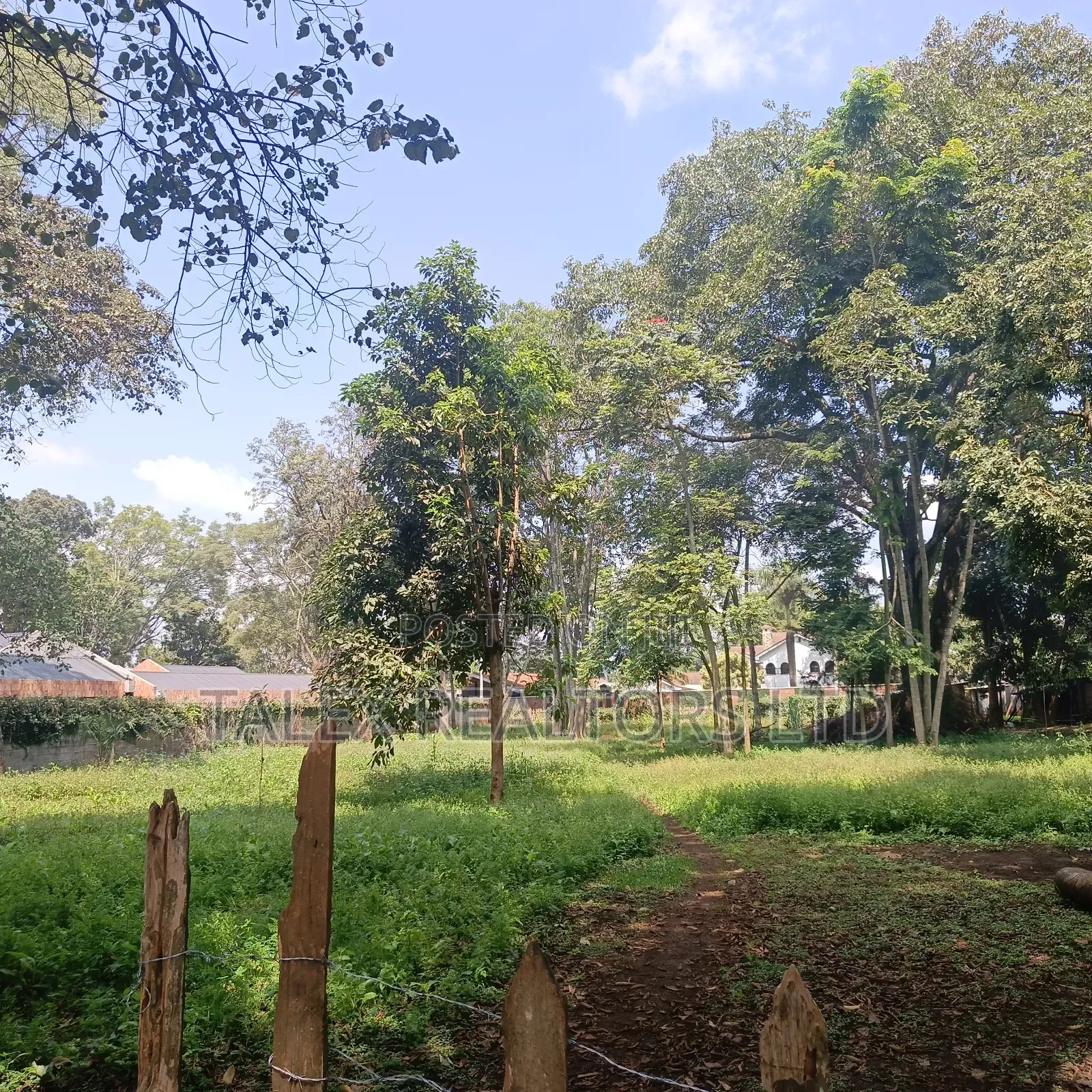 Prime 1-Acre Forest-Bordering Plot in Thigiri – With Approvals