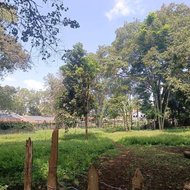 Prime 1-Acre Forest-Bordering Plot in Thigiri – With Approvals - thumbnail 9