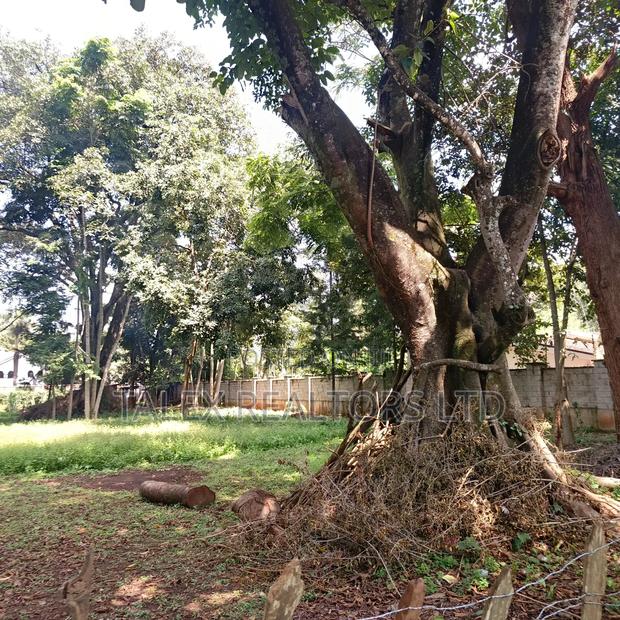 Prime 1-Acre Forest-Bordering Plot in Thigiri – With Approvals - thumbnail 12