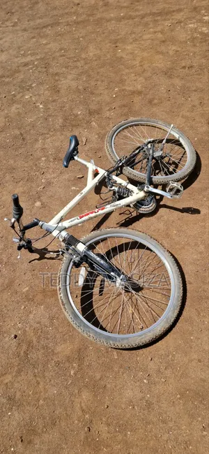 Down Hill Mtb