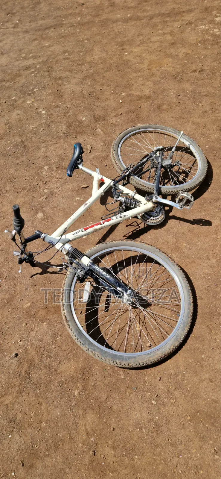 Down Hill Mtb