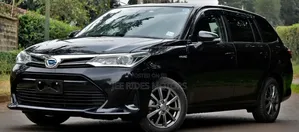 Toyota Corolla Fielder 2018 Black