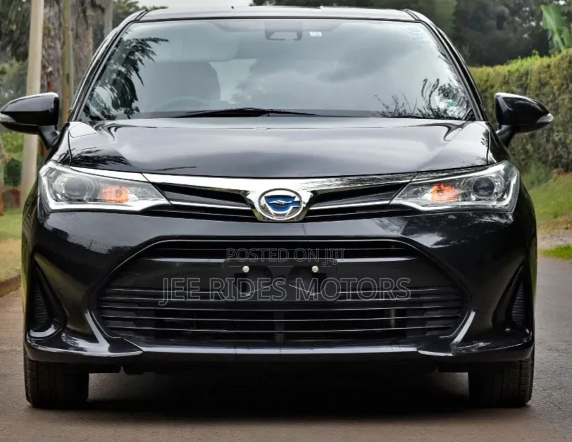 Toyota Corolla Fielder 2018 Black