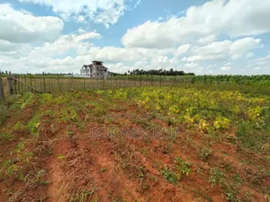 1⁄8 Plot for Sale in Chepkanga Eldoret