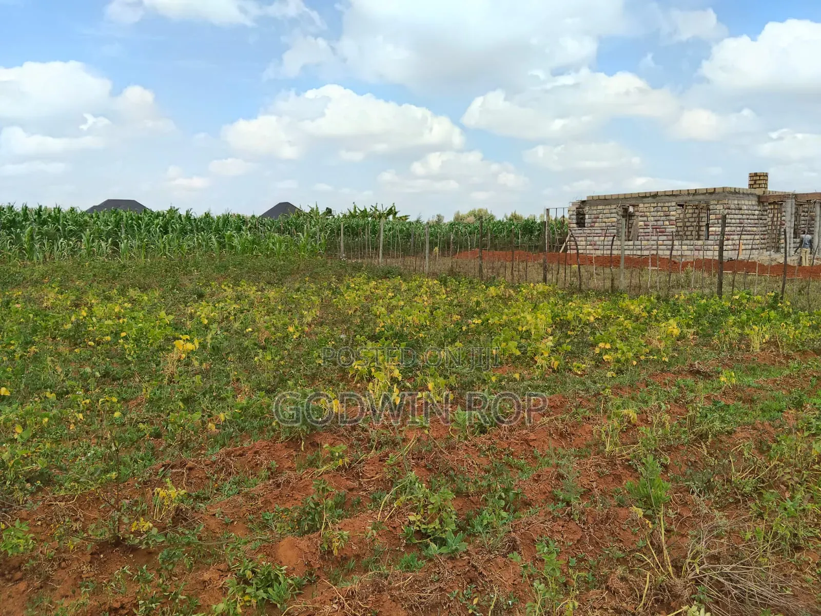 1⁄8 Plot for Sale in Chepkanga Eldoret