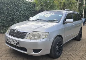 Toyota Corolla Fielder 2005 Silver